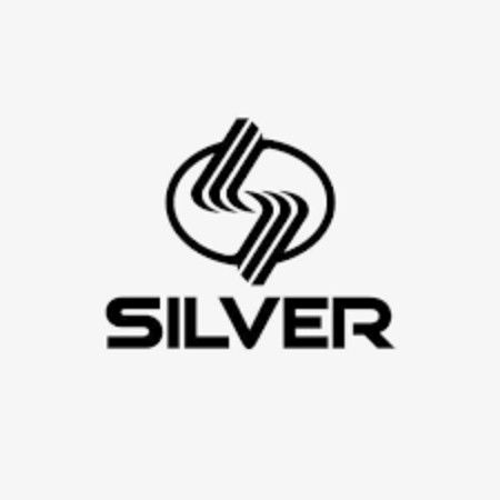 Trucks Silver